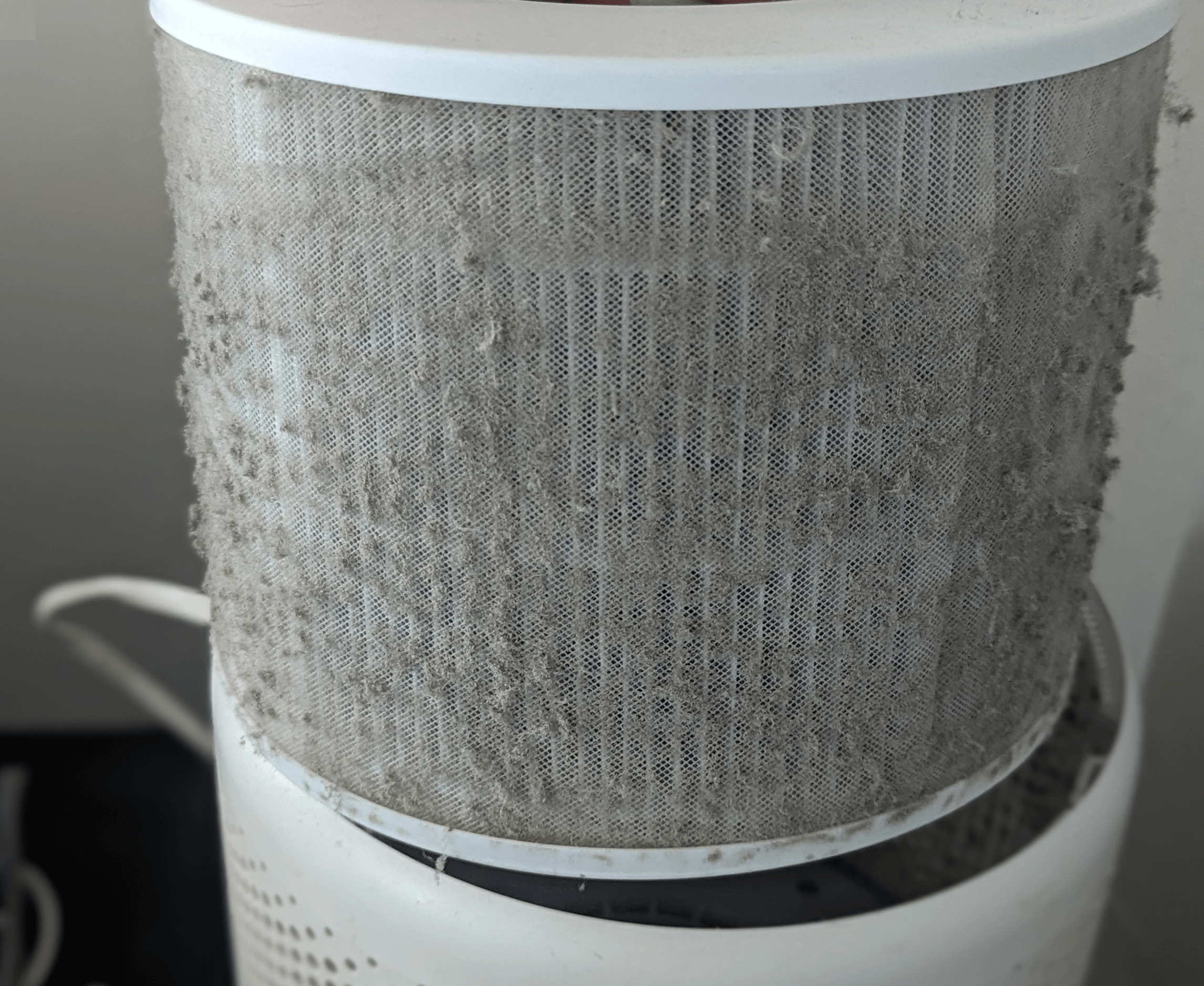 Levoit Core 300 Dirty Air Filter